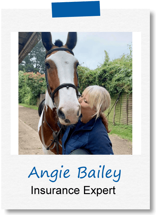 Angie Bailey, equine insurance expert, joins Intelligent Horsemanship for a webinar about insurance for horse owners