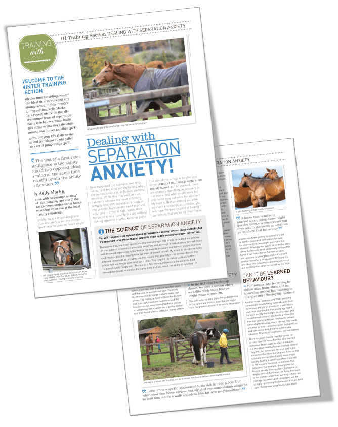 Image result for Separation Anxiety in Horses and 5 Steps to Overcome it - Intelligent ...